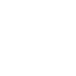 BoTOWN  logo.